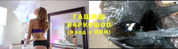 хмурый Алексин