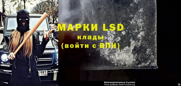 хмурый Алексин