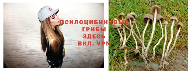 кокаин премиум Алексеевка