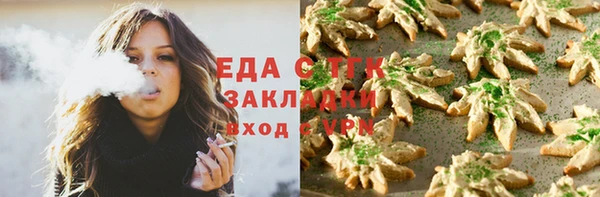 хмурый Алексин